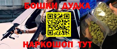 стаф Новокубанск