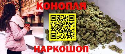 стаф Новокубанск
