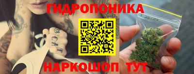 стаф Новокубанск