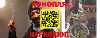 стаф Новокубанск