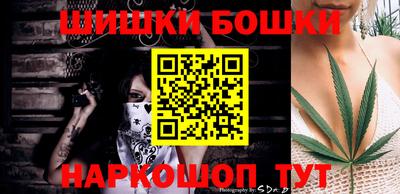 стаф Новокубанск