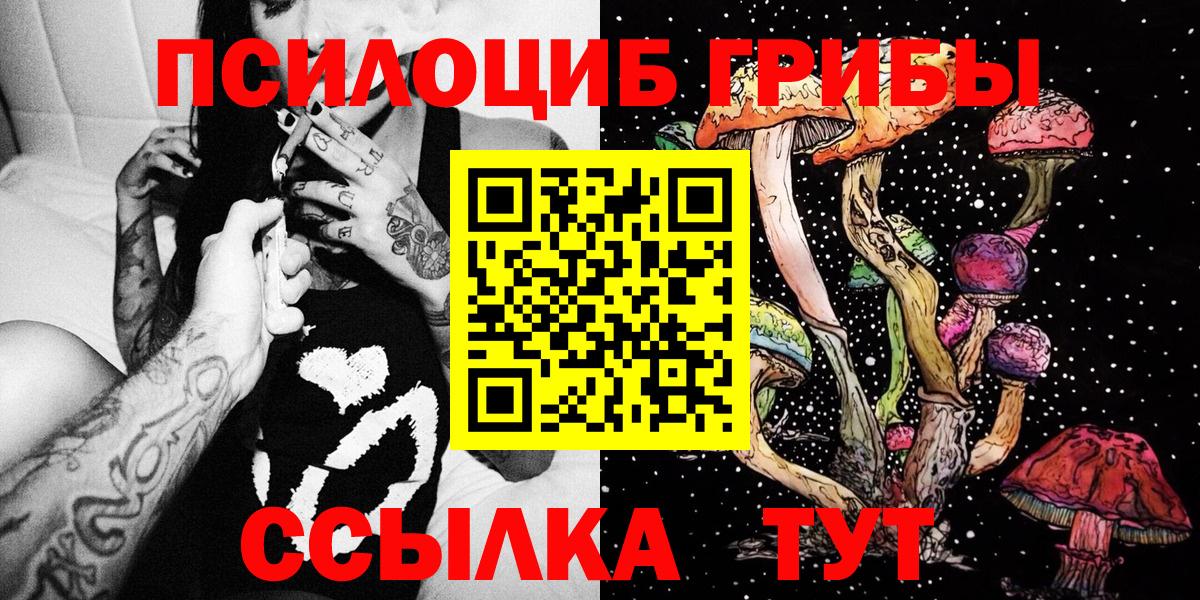 наркота  Псилоцибиновые грибы Psilocybine cubensis  Вход с VPN  Ростов-на-Дону 